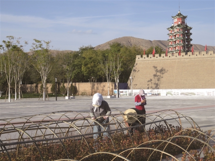     为保护城区绿植花卉顺利过冬，近日，会宁县组织园林工人在各景观带（点）开展冬季园林绿化养护工作，给绿植穿上了“冬衣”。    姚继东 摄